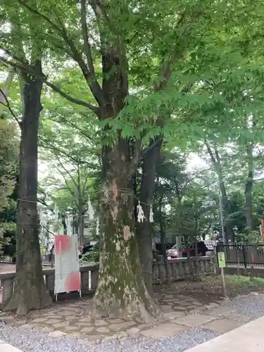布多天神社の自然