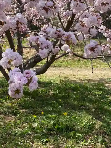 素戔嗚神社の自然
