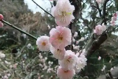 稲荷神社(山口県)