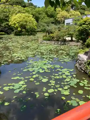 鶴岡八幡宮(神奈川県)