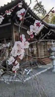 最乗院(滋賀県)