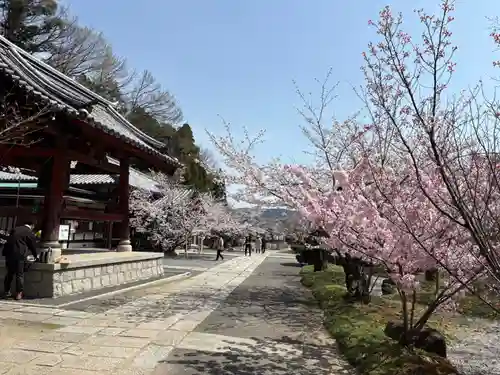 安岡寺(大阪府)