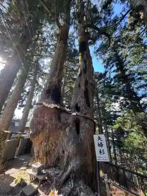 玉置神社(奈良県)