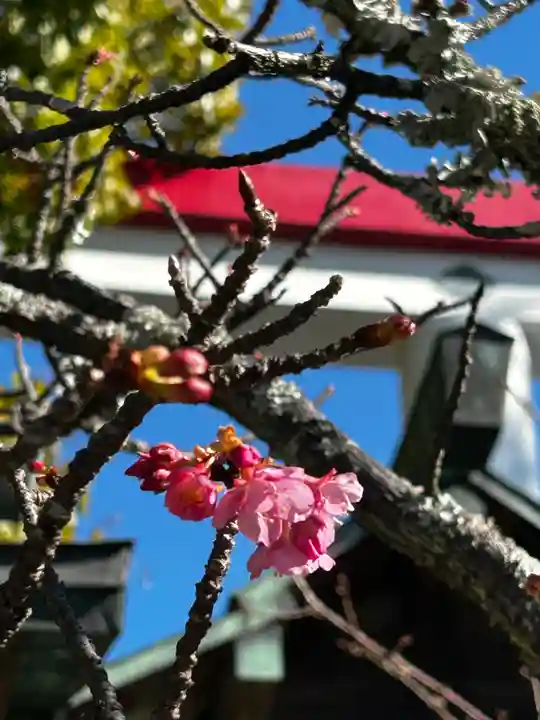 鎌倉宮(神奈川県)