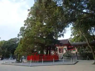 香椎宮のその他建物