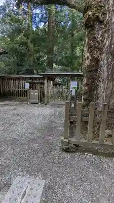 天岩戸神社(宮崎県)