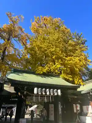 大宮八幡宮の山門・神門