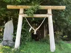 湯泉神社の鳥居