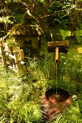 祇王寺(京都府)