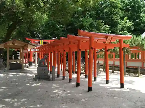 荒熊白髭稲荷神社の鳥居