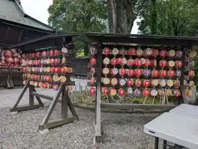 達磨寺(群馬県)