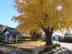 星谷寺(神奈川県)