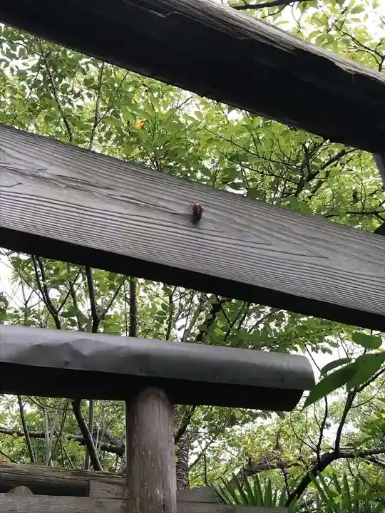厳嶋神社のその他建物