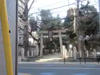 駒込富士神社(東京都)
