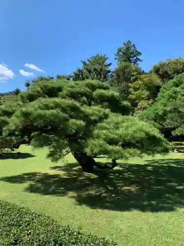 伊勢神宮内宮（皇大神宮）の庭園