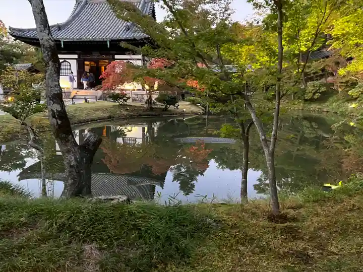 高台寺(高台寿聖禅寺・高臺寺)(京都府)