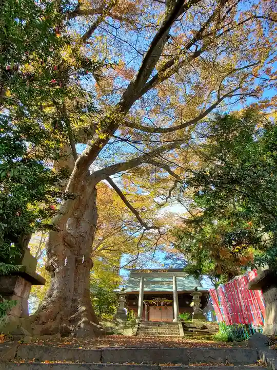 愛宕神社(福島県)