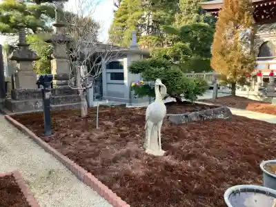 光明院の{uncategorized: "未分類", other: "その他", undefined: "問題あり", building: "その他建物", grave: "お墓", sacred_gate: "鳥居", guardian: "狛犬", statue: "像", buddha: "仏像", history: "歴史", nature: "自然", garden: "庭園", animal: "動物", pagoda: "塔", temizu: "手水舎", mountain_gate: "山門・神門", sanctuary: "本殿・本堂", subordinate: "末社・摂社", art: "芸術", scenery: "景色", jizo: "地蔵", ema: "絵馬", goshuin: "御朱印", omikuji: "おみくじ", items: "授与品その他", amulet: "お守り", goshuincho: "御朱印帳", eats: "食事", festival: "お祭り", votive_dance: "神楽", shichigosan: "七五三参", wedding: "結婚式", experience: "体験その他", initially: "初詣", around: "周辺", anti_infection: "感染症対策"}