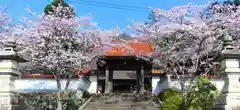 木舟山　順教寺の山門