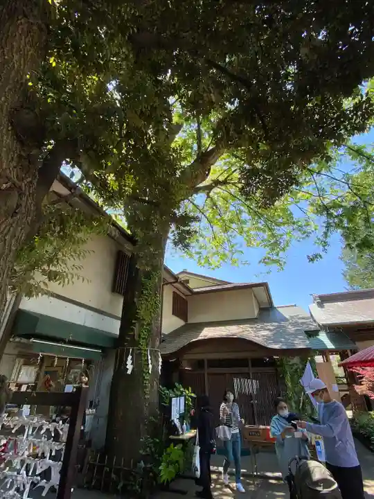 自由が丘熊野神社のその他建物