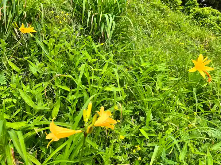 八溝嶺神社(茨城県)