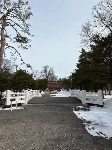 北海道護國神社の景色