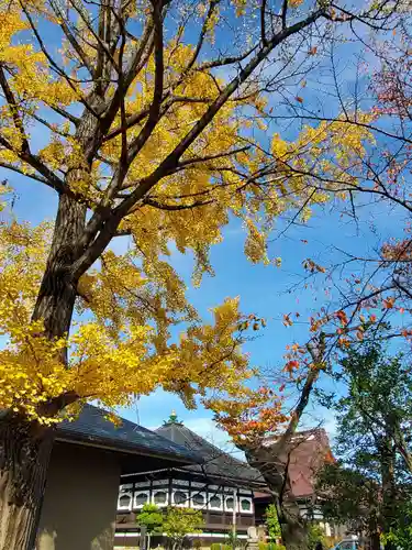 如宝寺(福島県)
