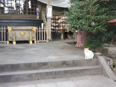 今市報徳二宮神社(栃木県)