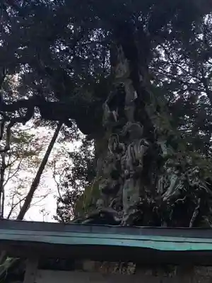 毛津神社のその他建物