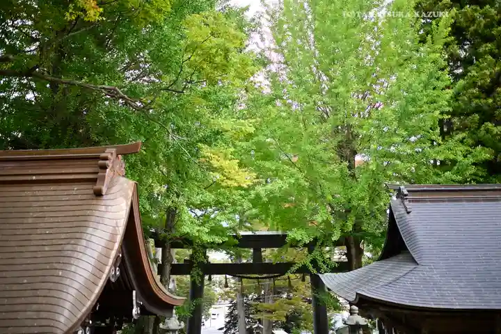 諏訪大社上社前宮(長野県)