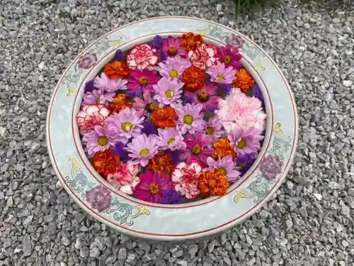 埼玉厄除け開運大師・龍泉寺（切り絵御朱印発祥の寺）の手水舎