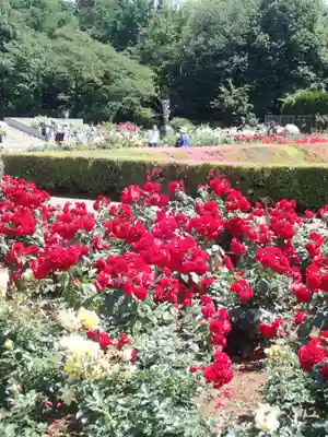 深大寺(東京都)