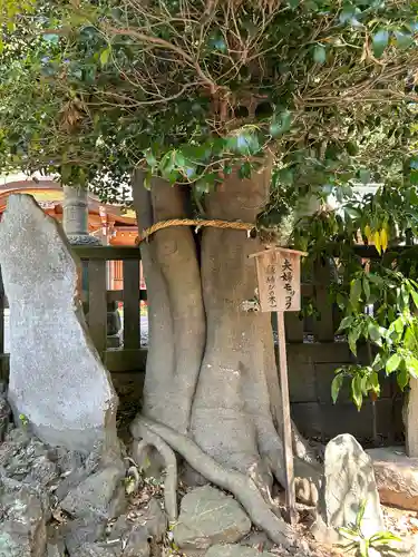 岩槻久伊豆神社(埼玉県)
