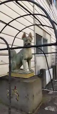 伏見大漁稲荷神社の狛犬