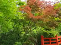 神藏寺の自然