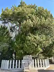 廣峯神社(兵庫県)