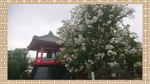 大蔵院(群馬県)