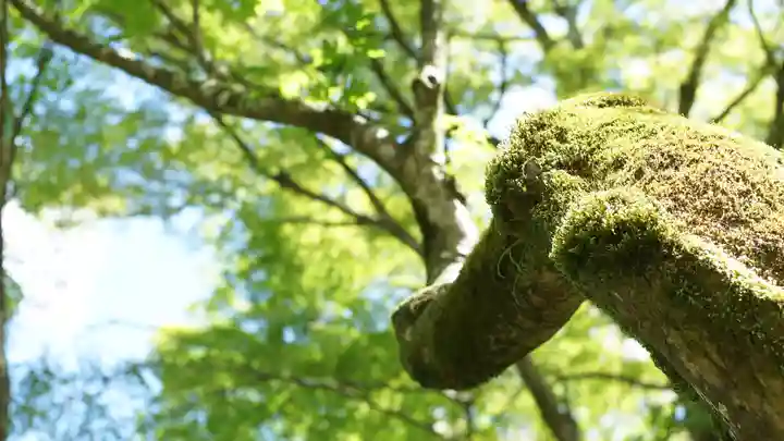 詩仙堂(丈山寺)(京都府)