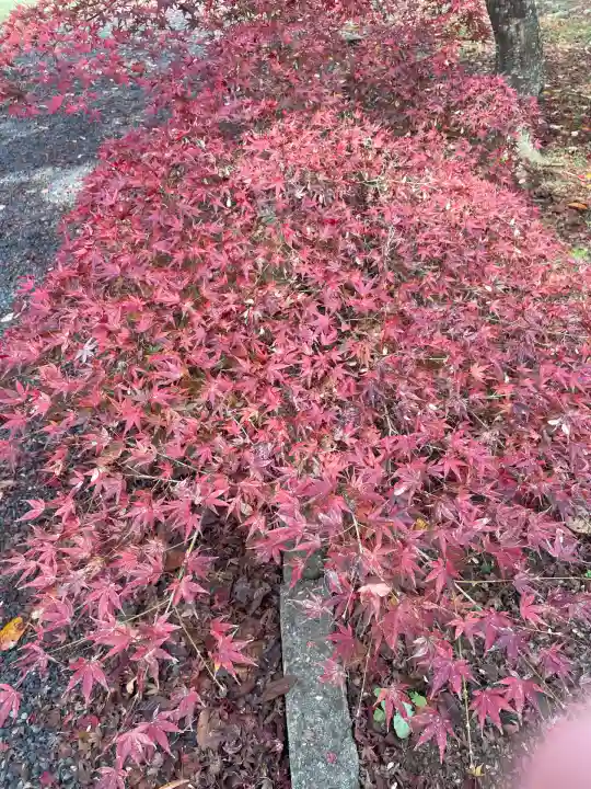 中山神社(岡山県)