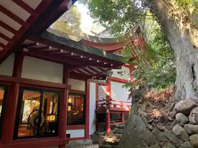 來宮神社(静岡県)