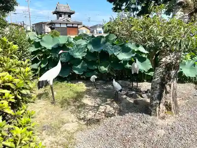 雲龍山 本證寺(愛知県)