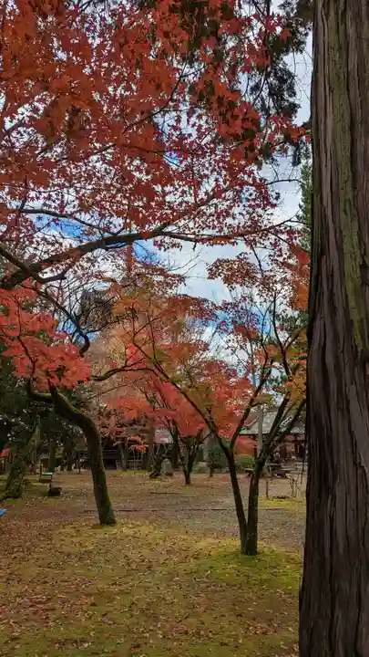 真正極楽寺(真如堂)(京都府)