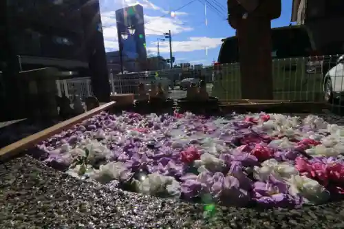 阿邪訶根神社の手水