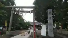 浅草神社の鳥居