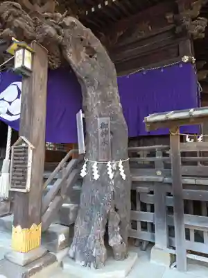 子之神社(神奈川県)