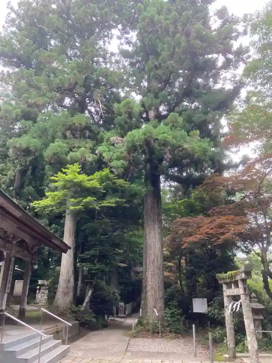 西照神社(徳島県)