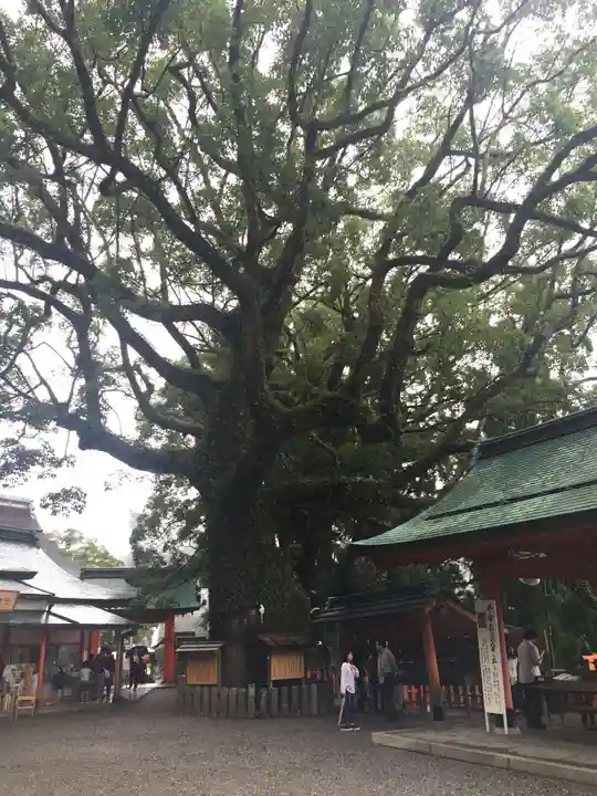 熊野那智大社の自然