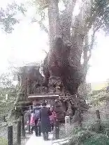 來宮神社の{uncategorized: "未分類", other: "その他", undefined: "問題あり", building: "その他建物", grave: "お墓", sacred_gate: "鳥居", guardian: "狛犬", statue: "像", buddha: "仏像", history: "歴史", nature: "自然", garden: "庭園", animal: "動物", pagoda: "塔", temizu: "手水舎", mountain_gate: "山門・神門", sanctuary: "本殿・本堂", subordinate: "末社・摂社", art: "芸術", scenery: "景色", jizo: "地蔵", ema: "絵馬", goshuin: "御朱印", omikuji: "おみくじ", items: "授与品その他", amulet: "お守り", goshuincho: "御朱印帳", eats: "食事", festival: "お祭り", votive_dance: "神楽", shichigosan: "七五三参", wedding: "結婚式", experience: "体験その他", initially: "初詣", around: "周辺", anti_infection: "感染症対策"}