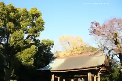 三嶋大社(静岡県)