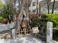 秩父今宮神社(埼玉県)